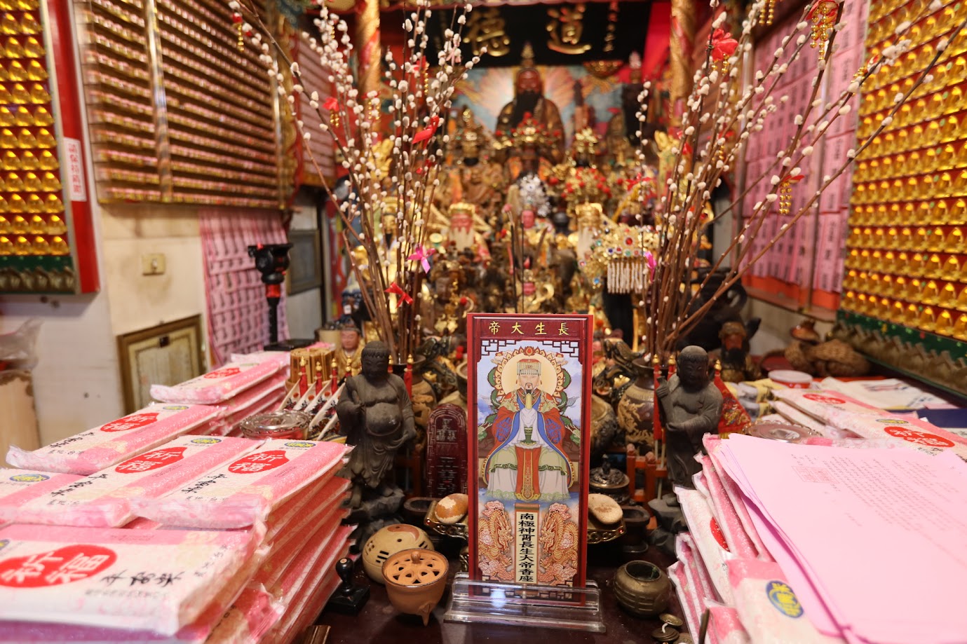 神農聖誕．壇場實況